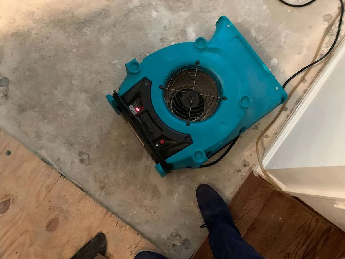 Air mover drying subfloor during Commercial Water Damage Restoration in Lyndhurst
